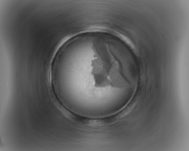 X0000116141275200911231304