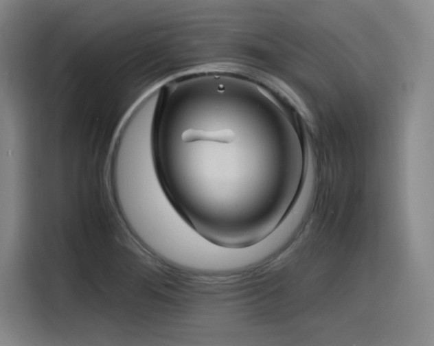 X0000116141276200911231304