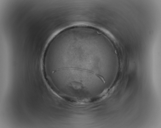 X0000116141279200911231303