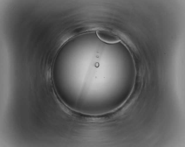 X0000116141281200911231303