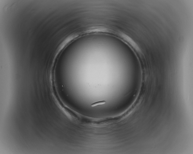 X0000116141282200911231303
