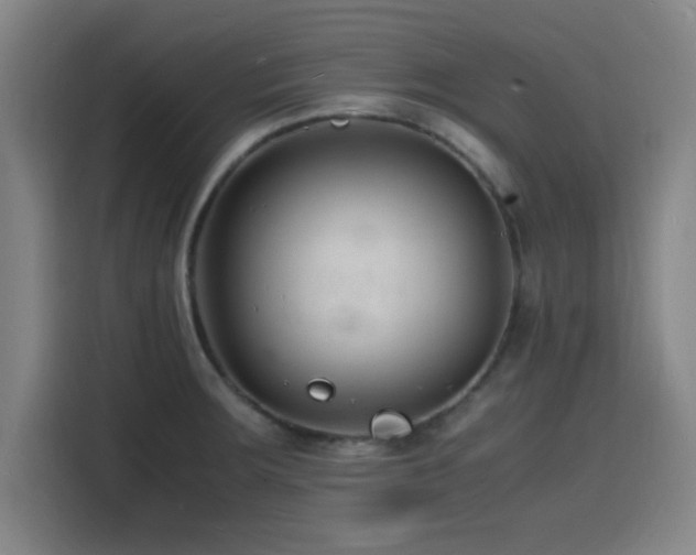 X0000116141283200911231303
