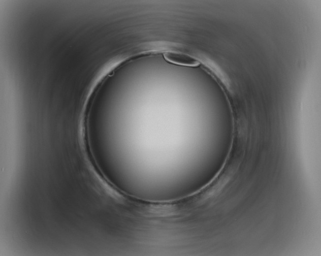 X0000116141285200911231303