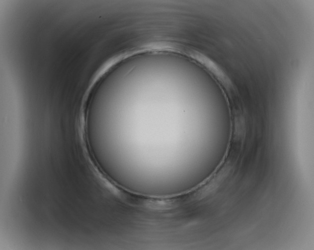X0000116141286200911231303