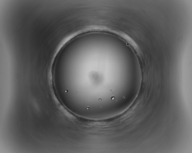 X0000116141287200911231303