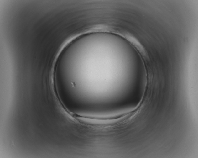X0000116141288200911231303