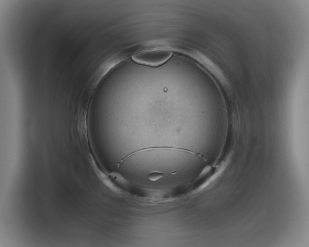 X0000116141289200911231303