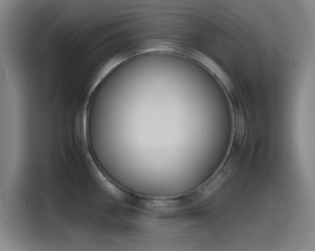 X0000116141290200911231303