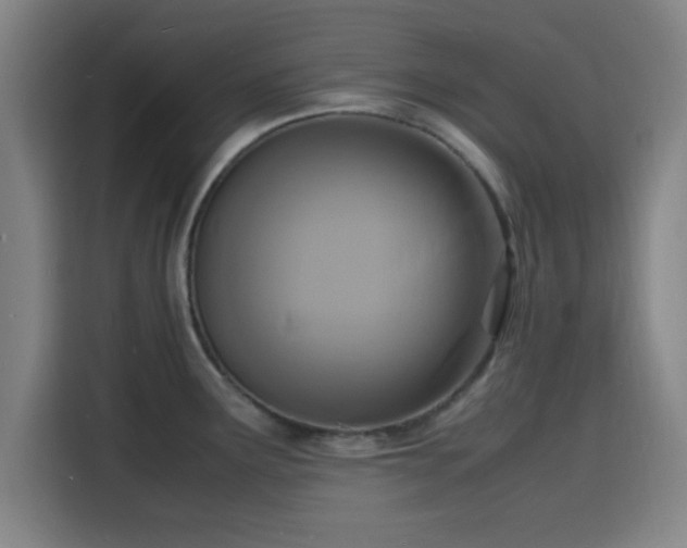 X0000116141291200911231303