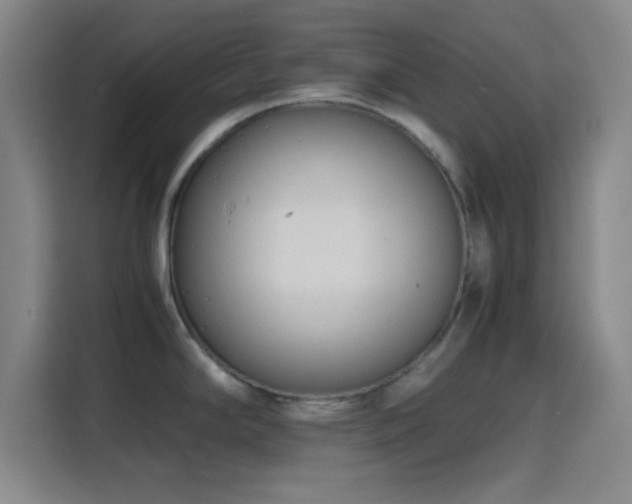 X0000116141294200911231303