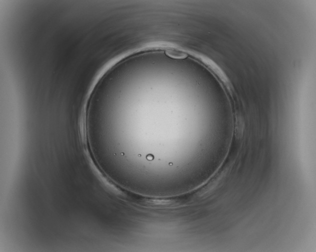 X0000116141295200911231303