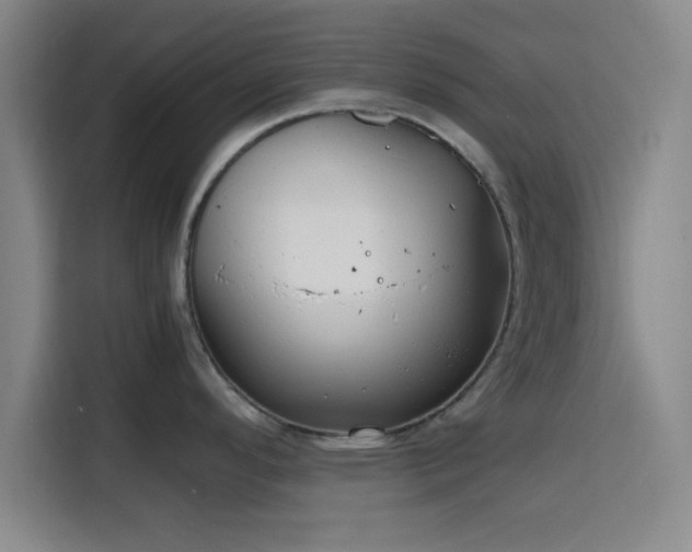 X0000116141296200911231303