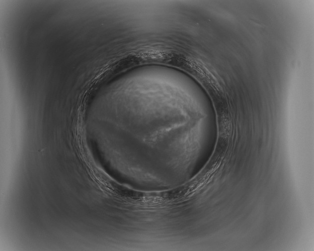 X0000116141297200911231303