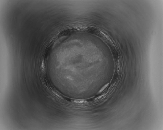 X0000116141298200911231303