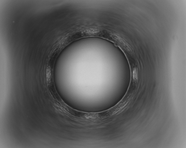 X0000116141299200911231303