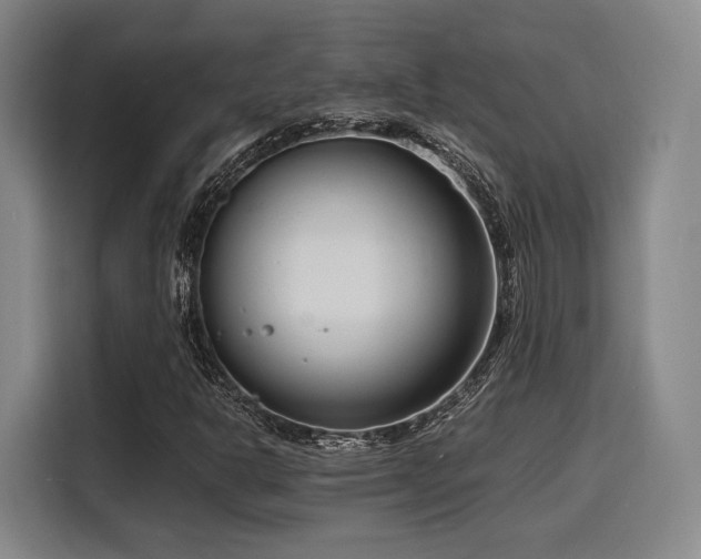 X0000116141302200911231303