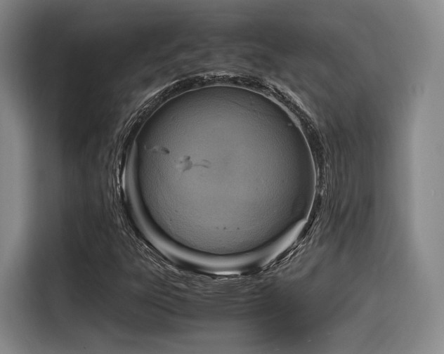 X0000116141303200911231303