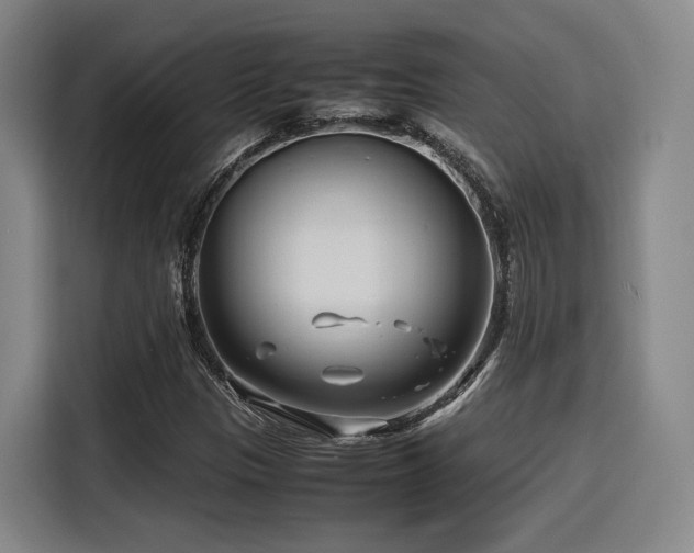 X0000116141305200911231303