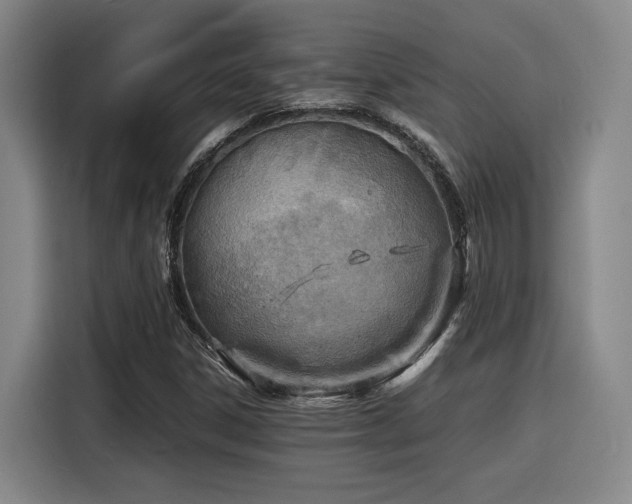 X0000116141306200911231303