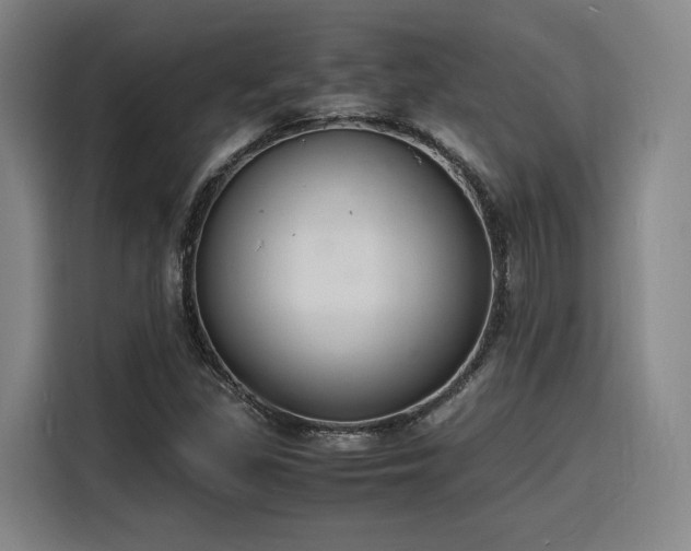 X0000116141309200911231303