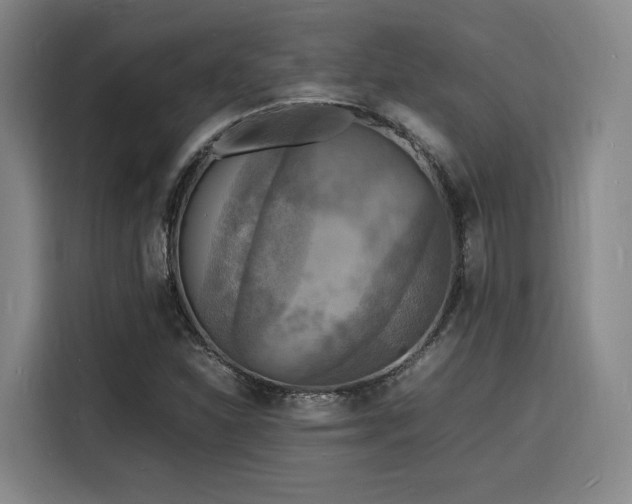 X0000116141310200911231303