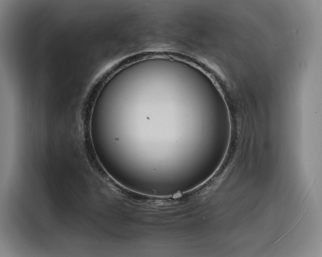 X0000116141311200911231303