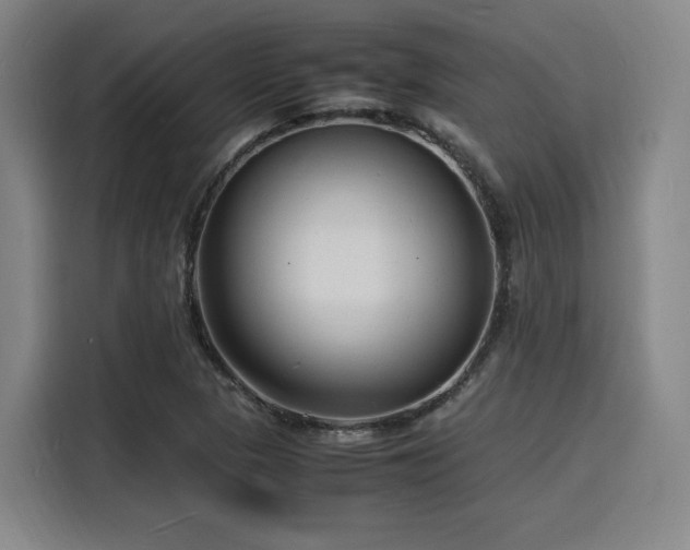 X0000116141313200911231303