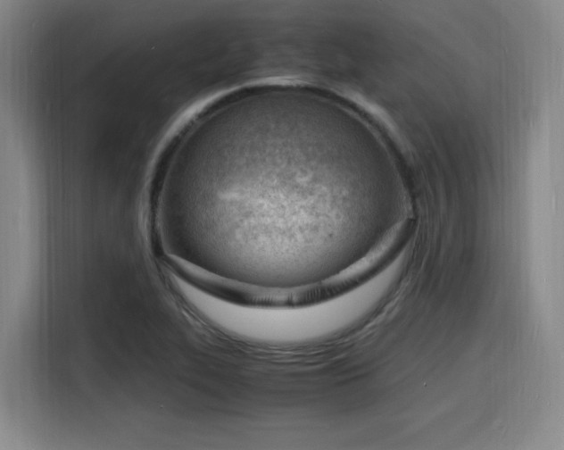 X0000116141319200911231303