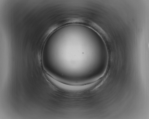 X0000116141321200911231303