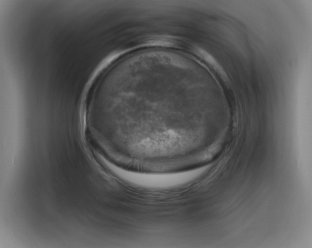 X0000116141323200911231303