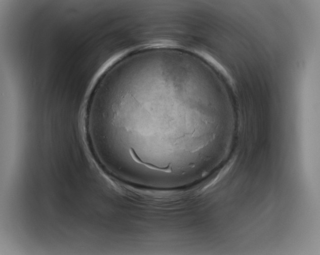 X0000116141325200911231303