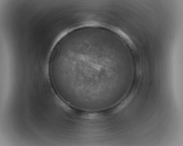 X0000116141326200911231303