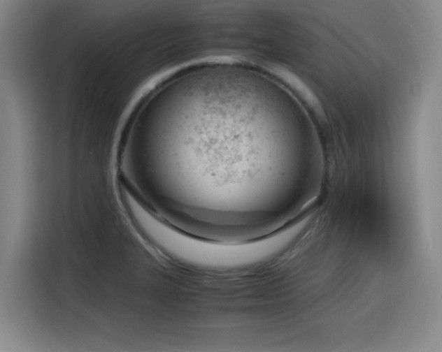 X0000116141327200911231303