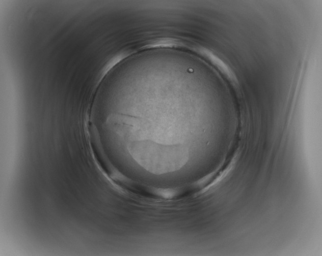 X0000116141329200911231303