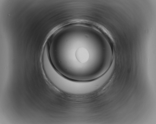 X0000116141330200911231303