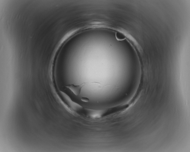 X0000116141333200911231303