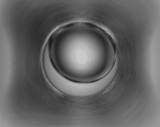 X0000116141334200911231303