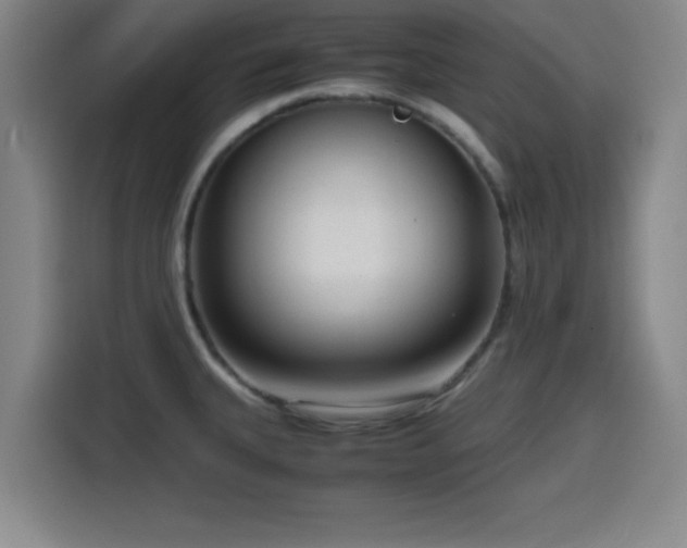 X0000116141335200911231303