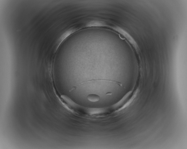 X0000116141337200911231303