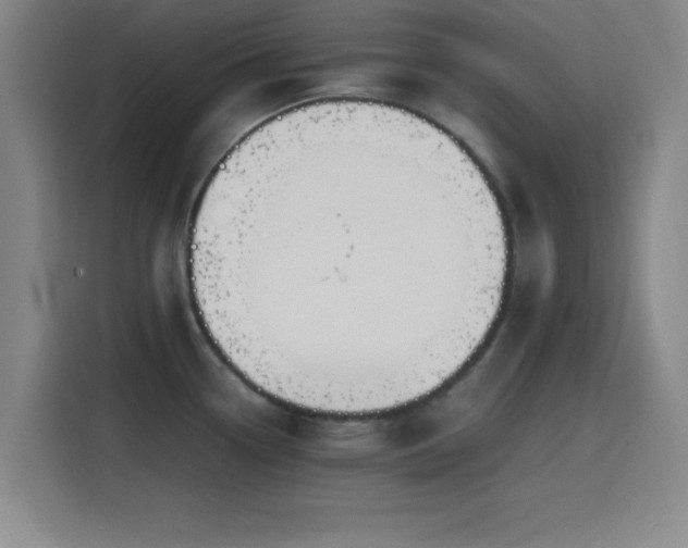 X0000116141338200911231303