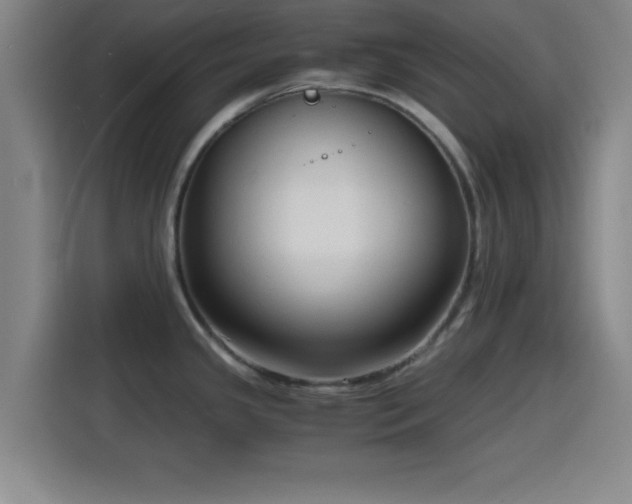 X0000116141341200911231303