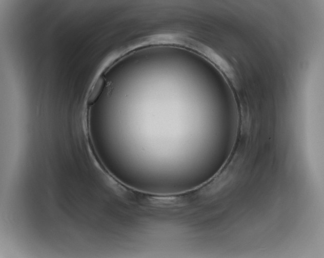 X0000116141342200911231303
