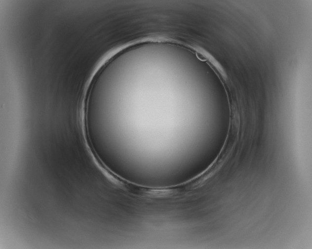 X0000116141343200911231303