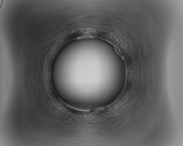 X0000116141345200911231303