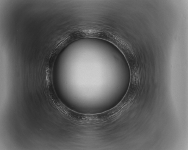 X0000116141346200911231303