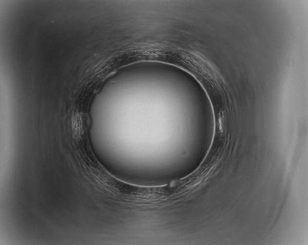 X0000116141347200911231303