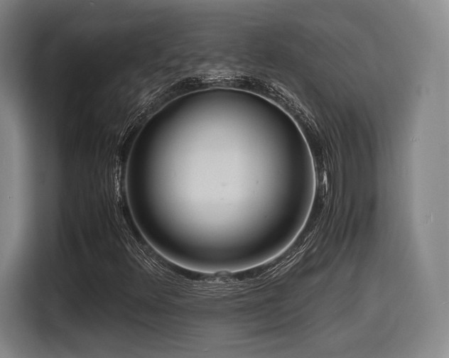 X0000116141348200911231303