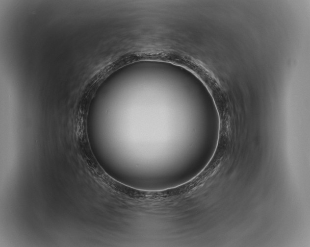 X0000116141350200911231303