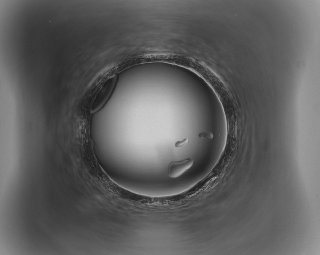 X0000116141351200911231303