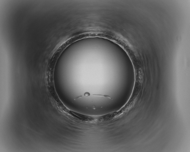 X0000116141352200911231303